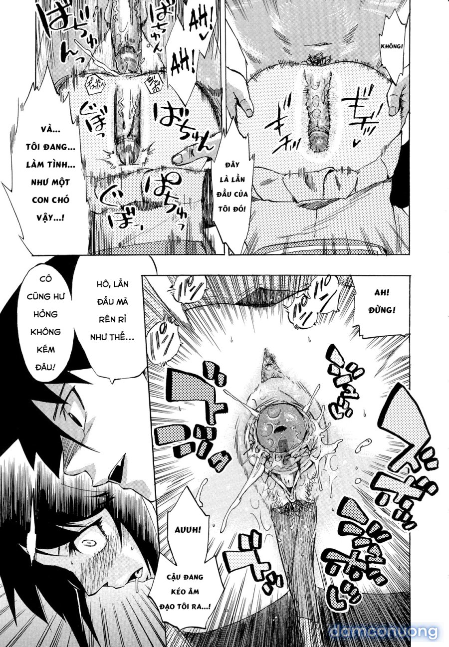 Going Otome 