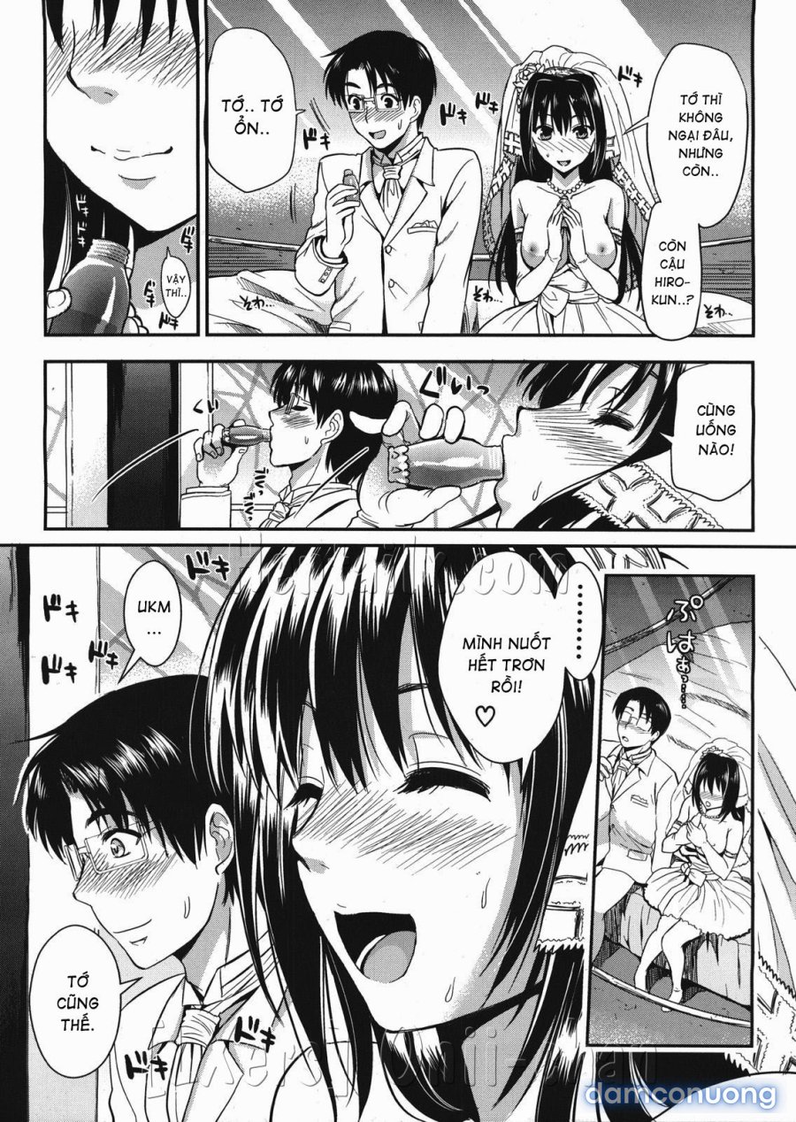 Gakuen Seikatsu 