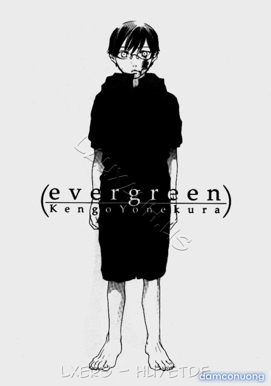 Ever Green Shinsouban 
