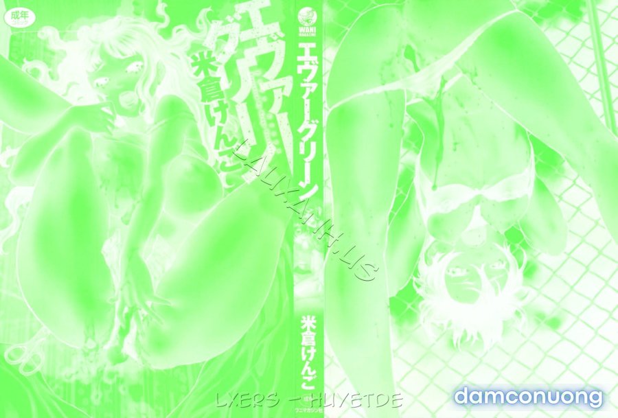 Ever Green Shinsouban 