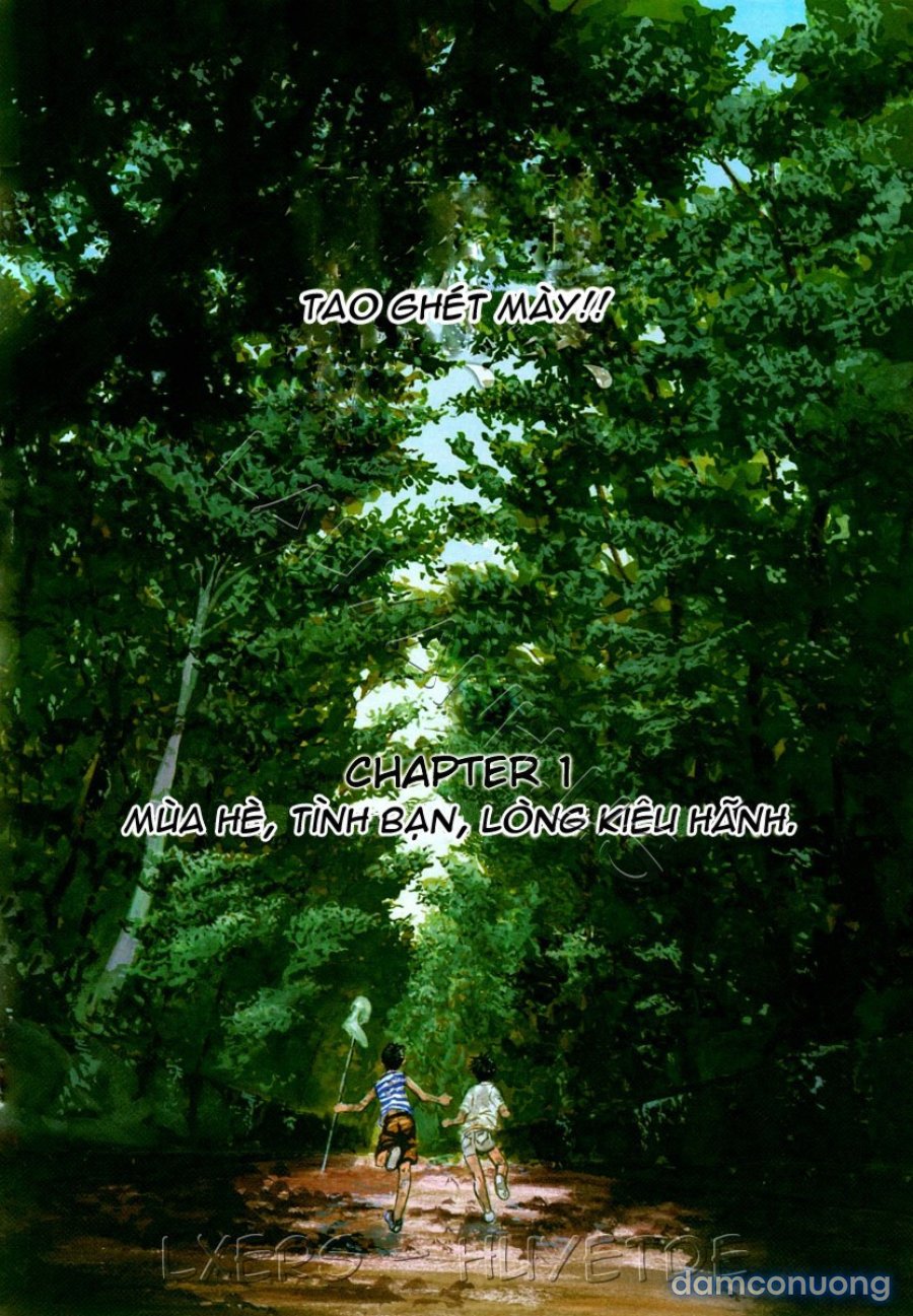 Ever Green Shinsouban 