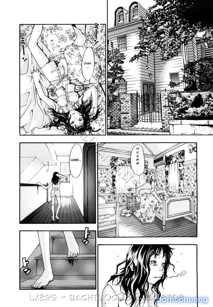 Ever Green Shinsouban 