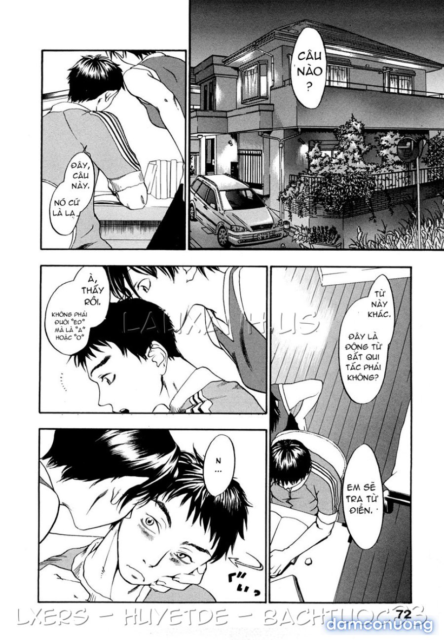 Ever Green Shinsouban 