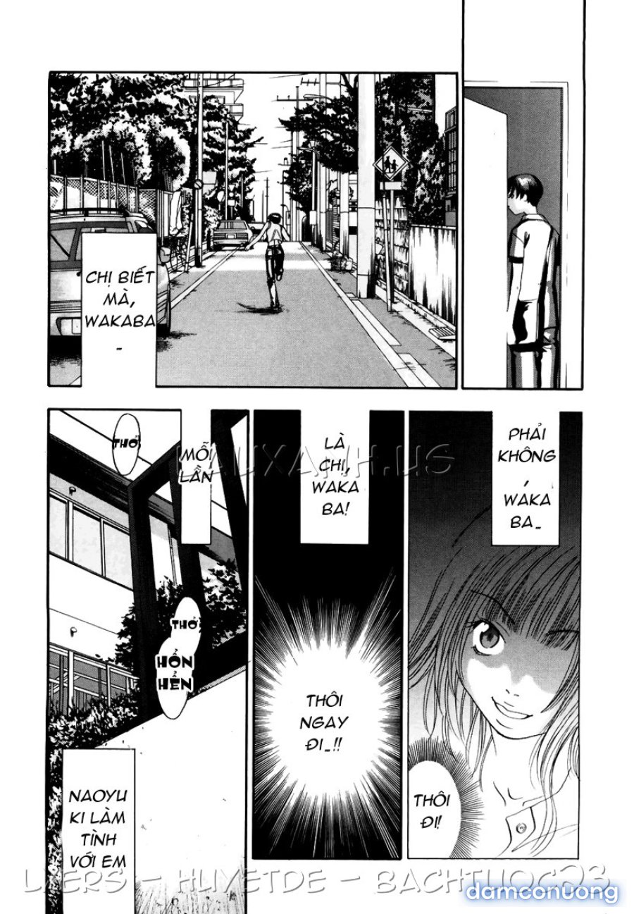 Ever Green Shinsouban 
