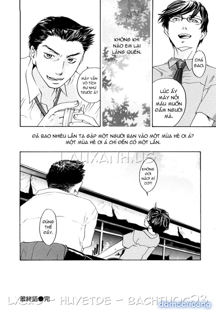 Ever Green Shinsouban 