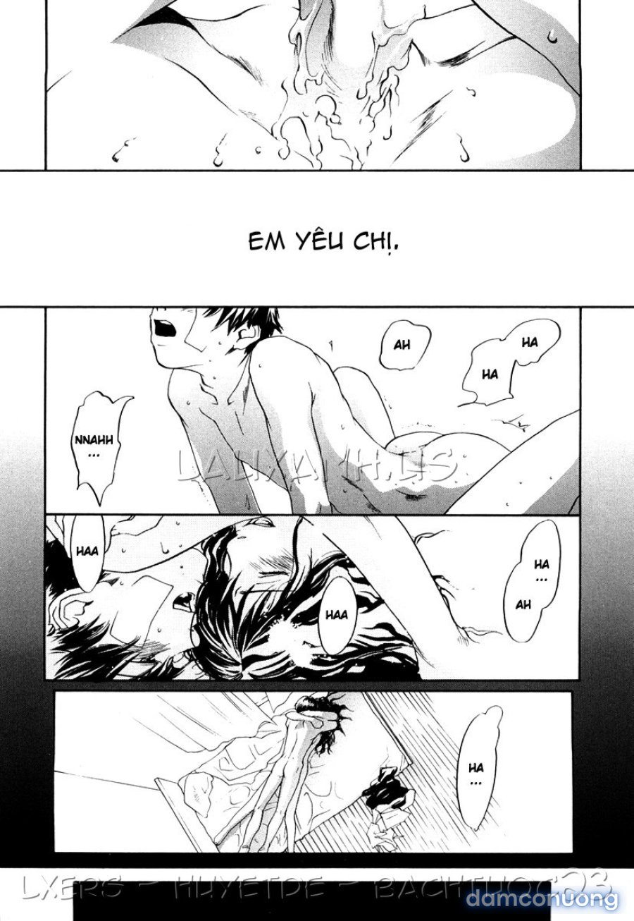 Ever Green Shinsouban 