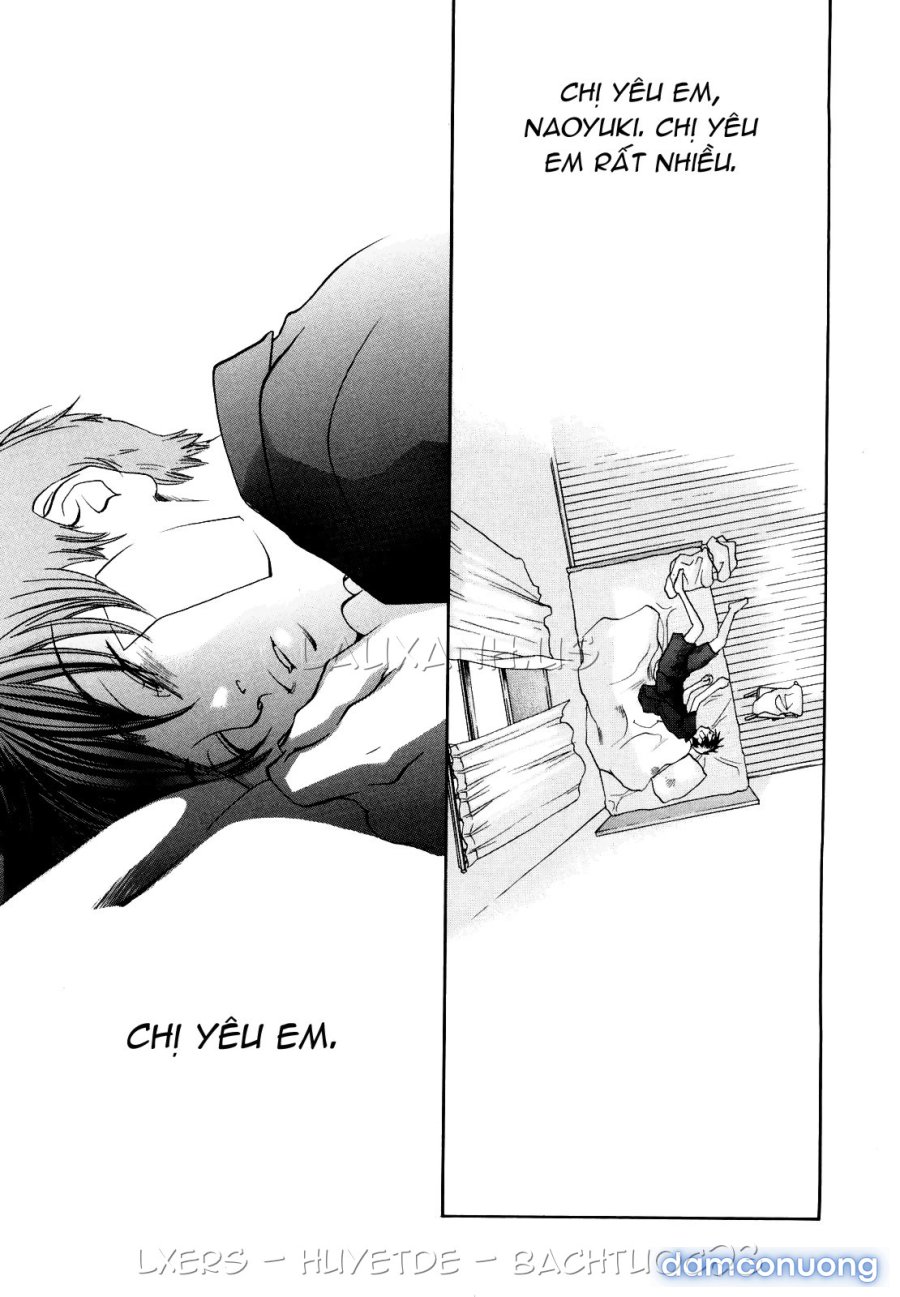 Ever Green Shinsouban 