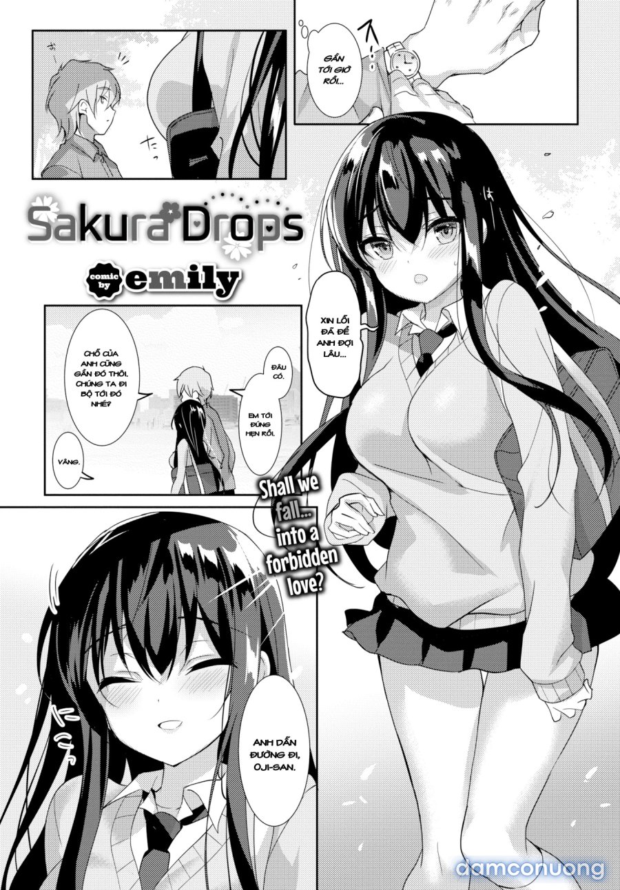 Milk Splash 