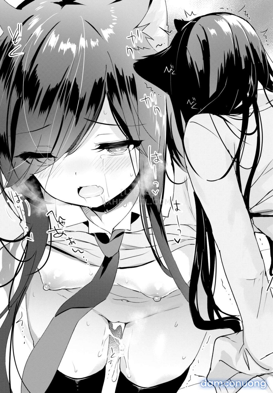 Milk Splash 