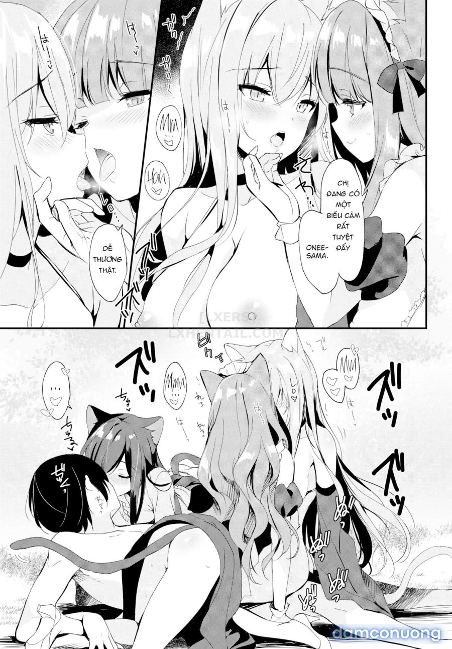 Milk Splash 