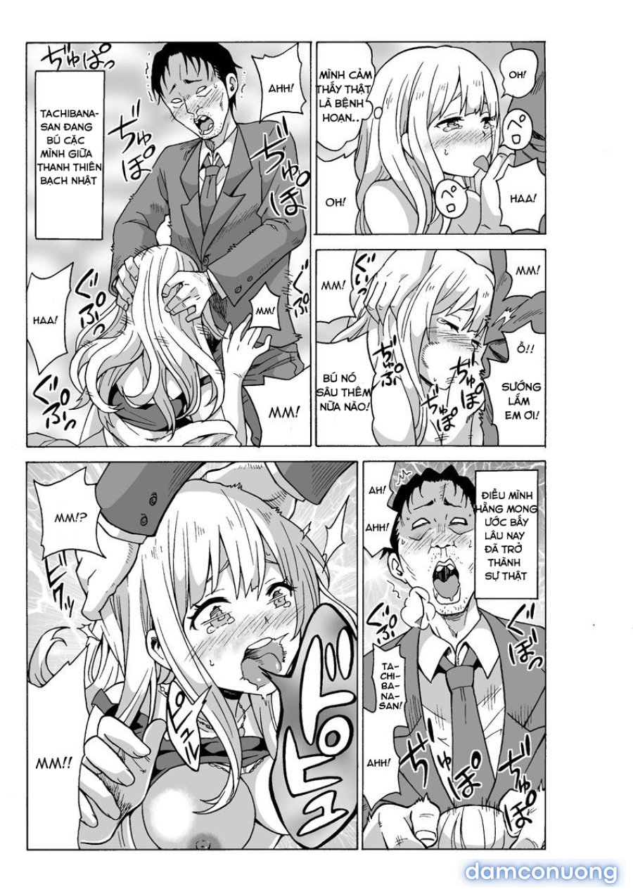 Yaritai Houdai Dekiru Shiminken 