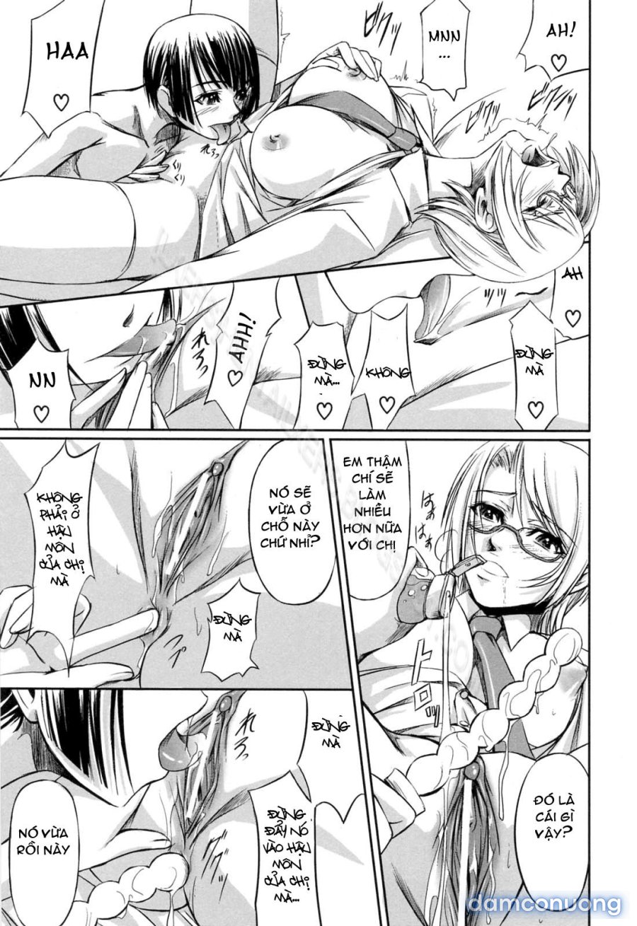 Double Helix of Her and the Older Sister 