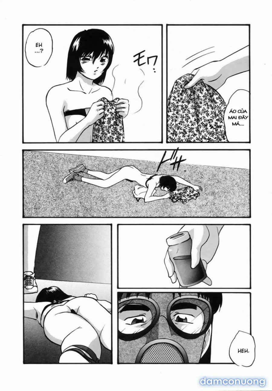 Cellular Control 