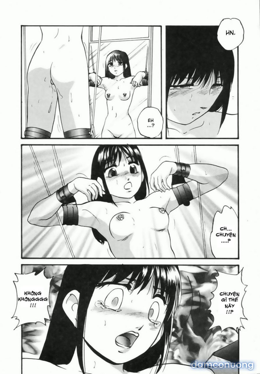 Cellular Control 