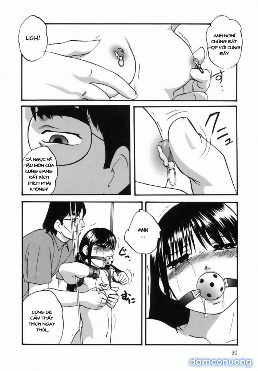 Cellular Control 