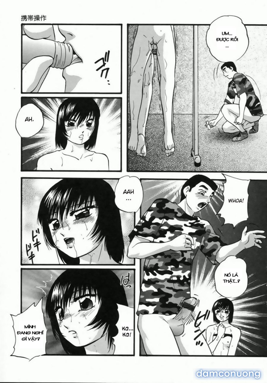 Cellular Control 