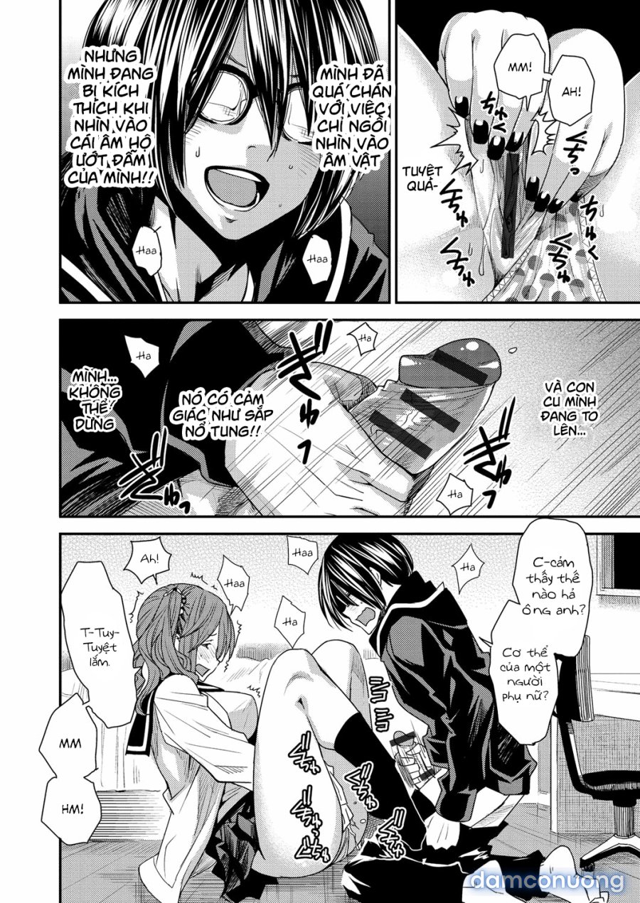 Torikae Appli 