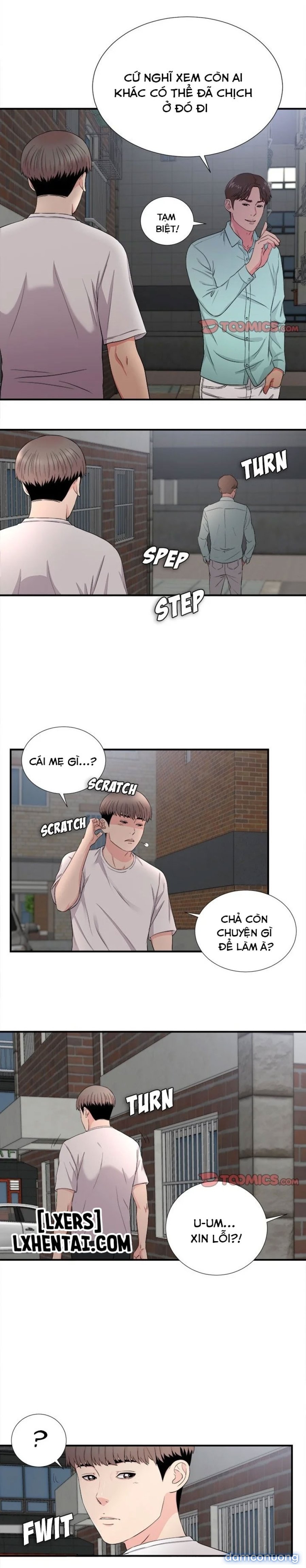 Cái Nhìn Thoáng Qua 