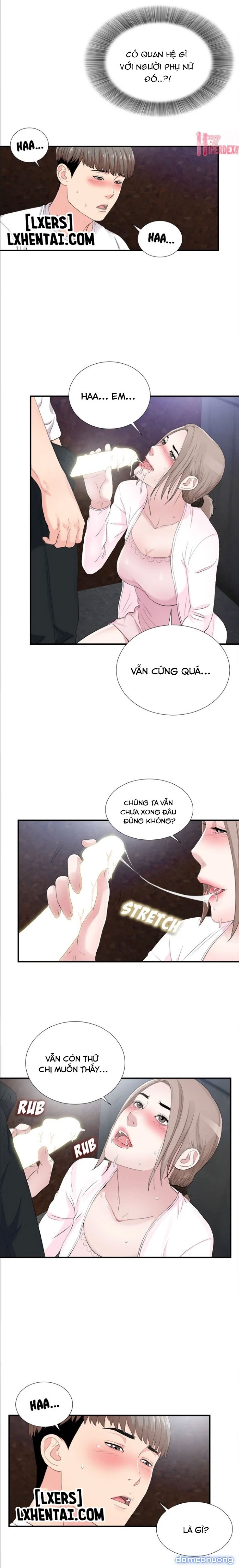 Cái Nhìn Thoáng Qua 
