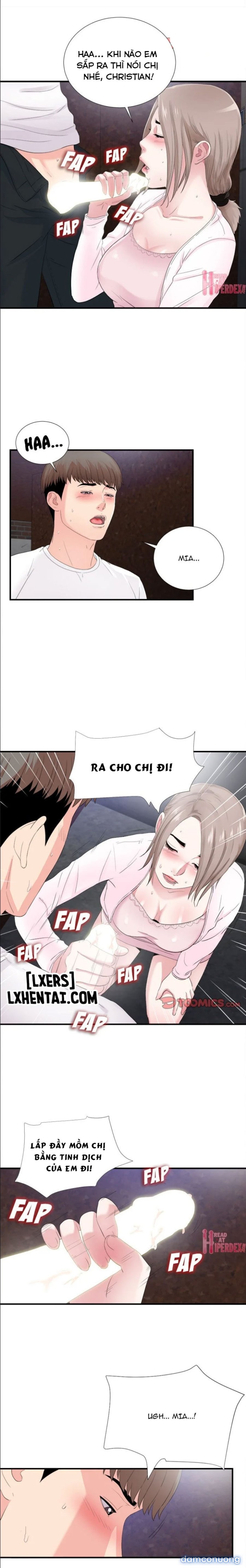 Cái Nhìn Thoáng Qua 