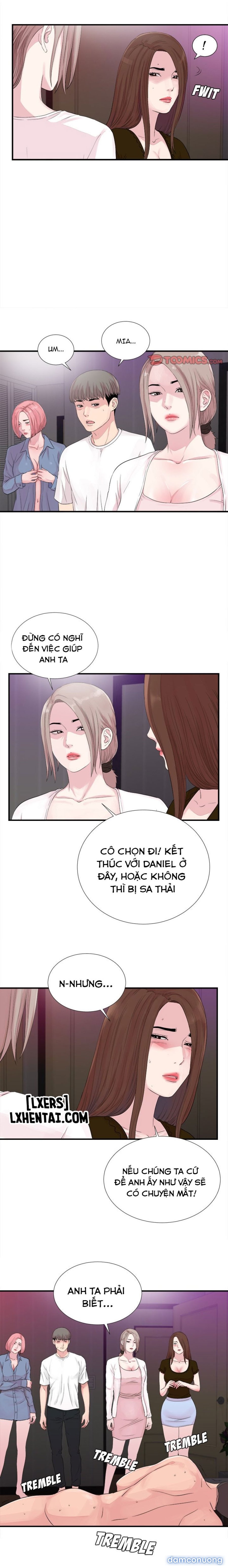 Cái Nhìn Thoáng Qua 