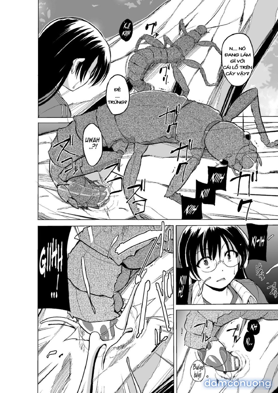Mushi Asobi Oyako Koubi 