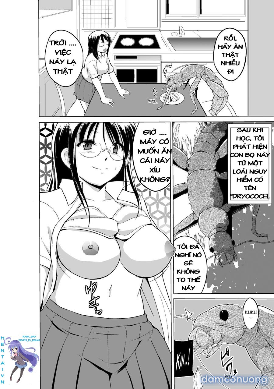 Mushi Asobi Oyako Koubi 
