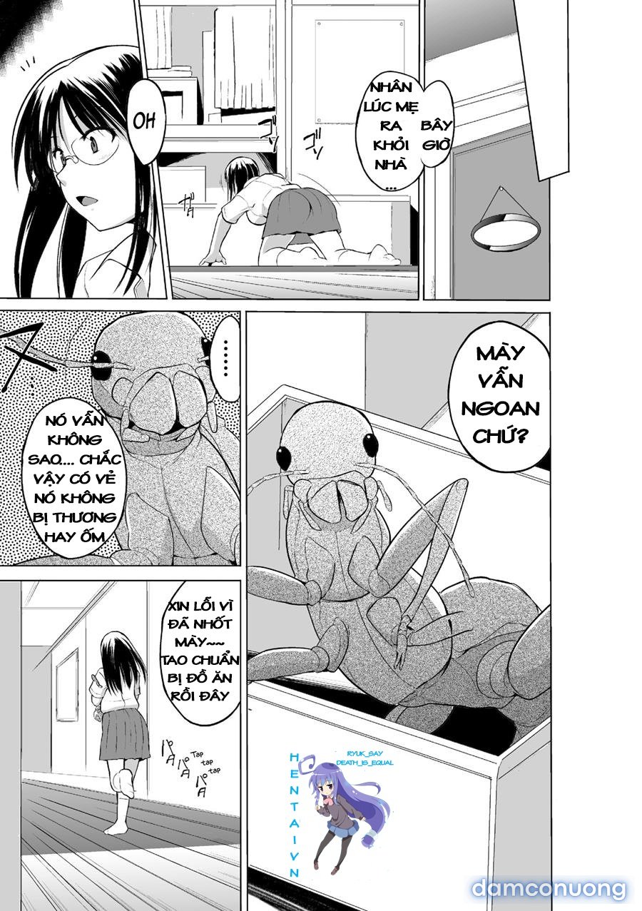 Mushi Asobi Oyako Koubi 
