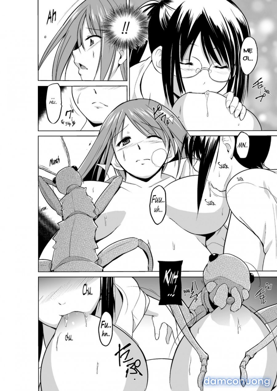 Mushi Asobi Oyako Koubi 