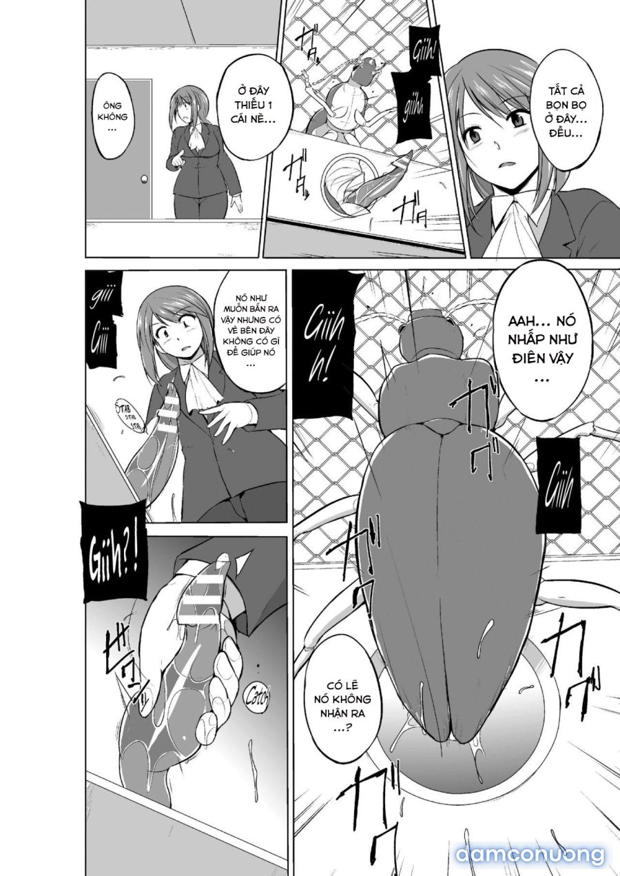 Mushi Asobi Oyako Koubi 