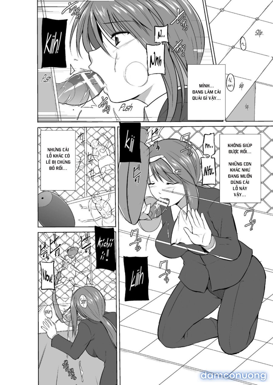Mushi Asobi Oyako Koubi 