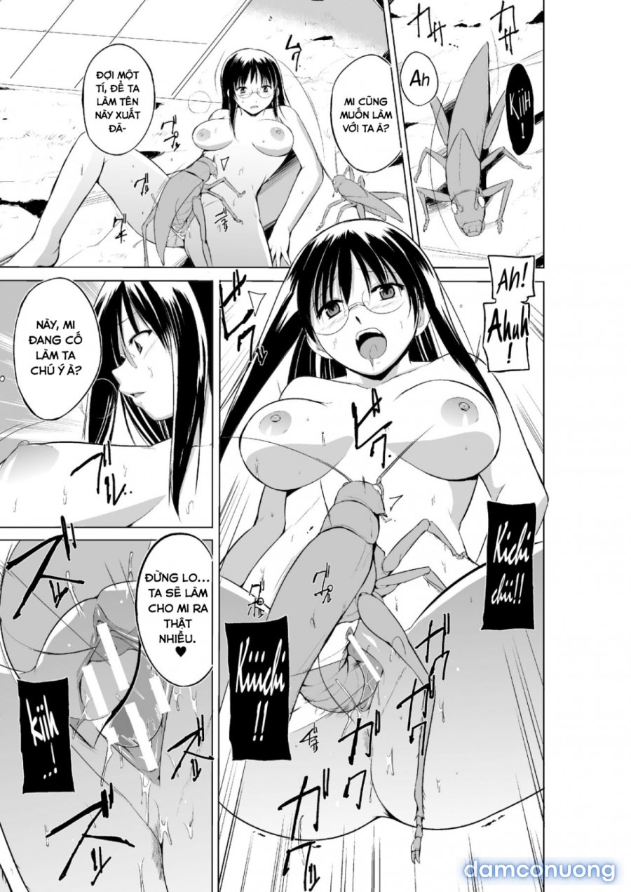 Mushi Asobi Oyako Koubi 
