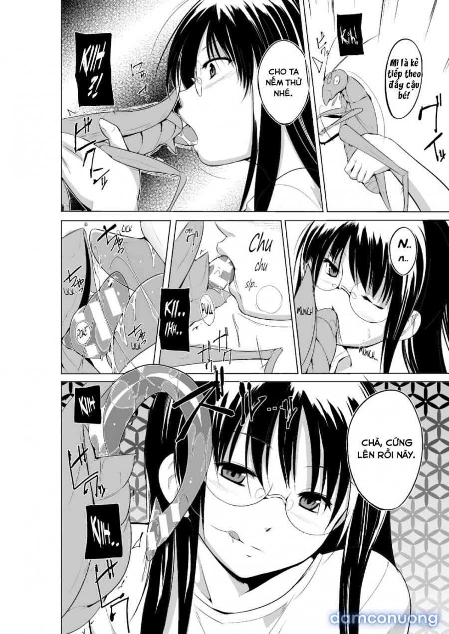 Mushi Asobi Oyako Koubi 