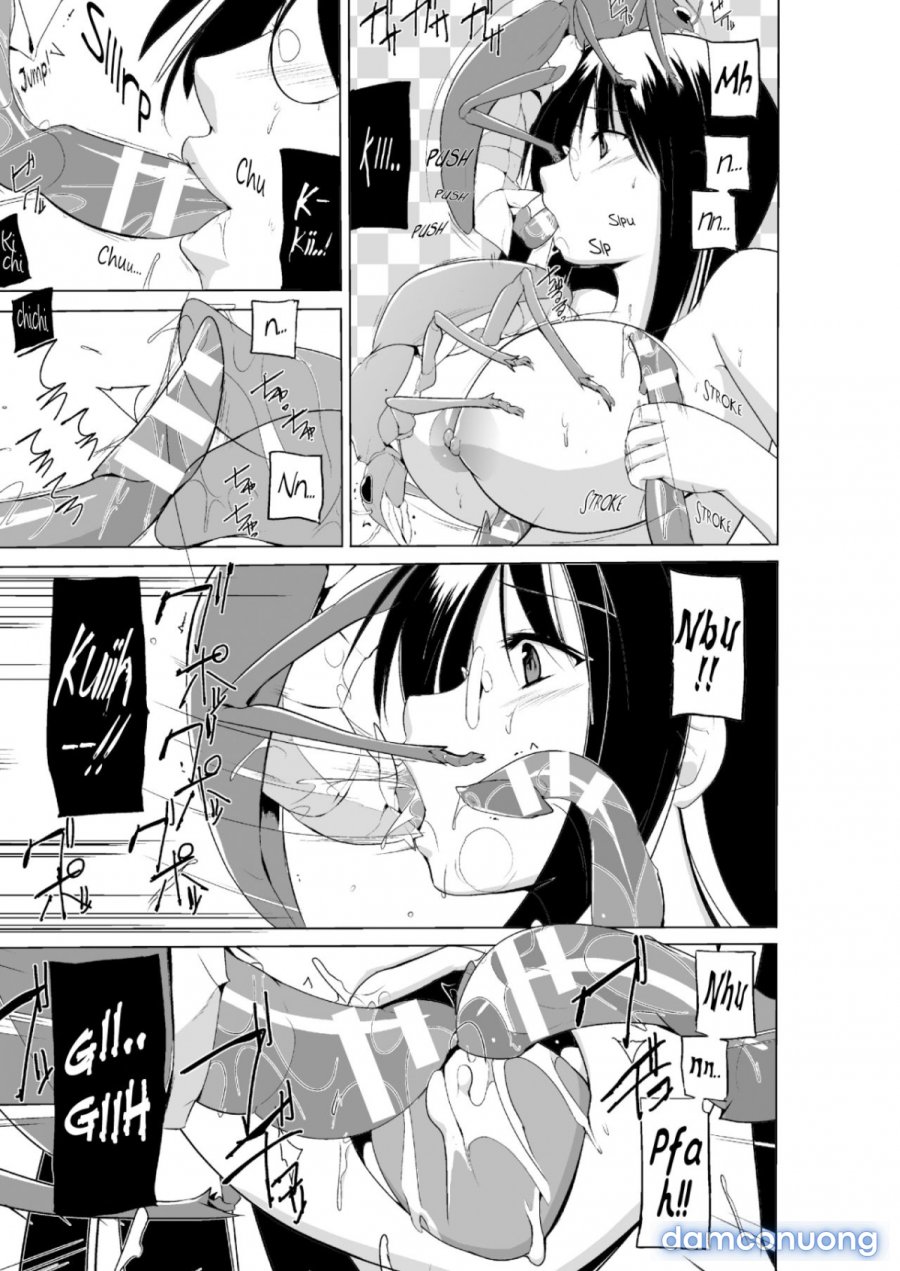 Mushi Asobi Oyako Koubi 