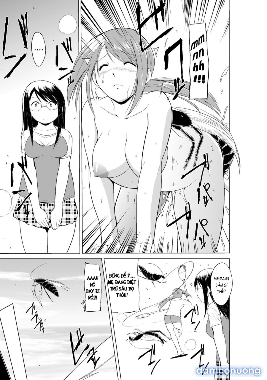Mushi Asobi Oyako Koubi 