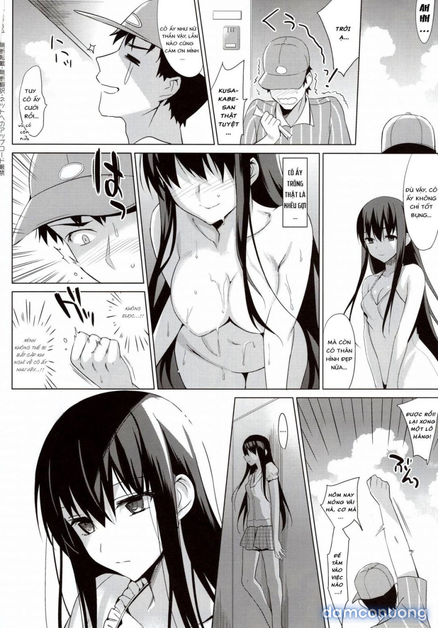 Summer Halation 