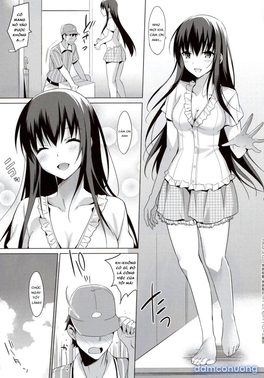 Summer Halation 