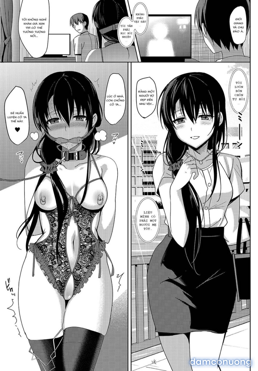 Summer Halation 