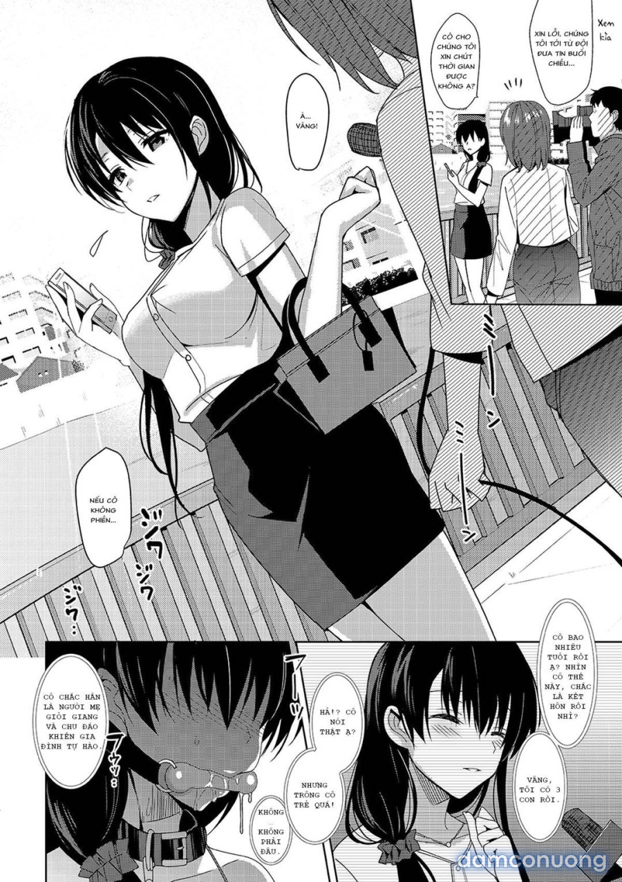 Summer Halation 