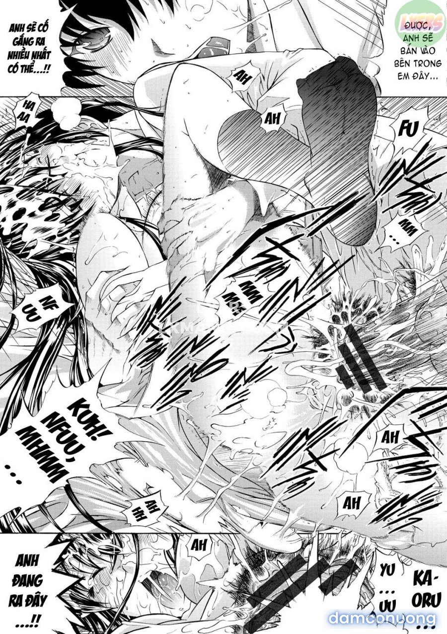 Hatsujou Souchi 