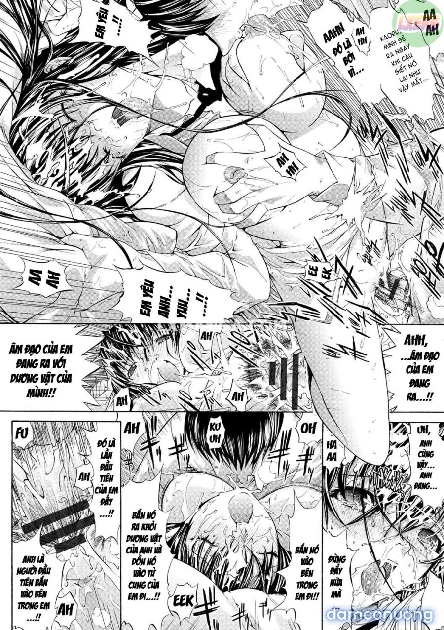 Hatsujou Souchi 