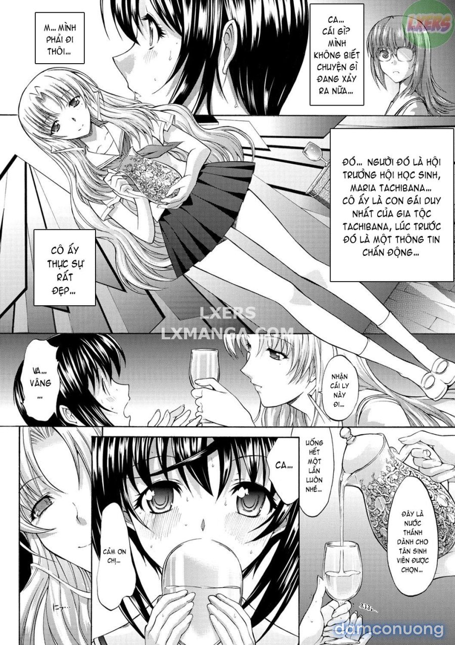 Hatsujou Souchi 