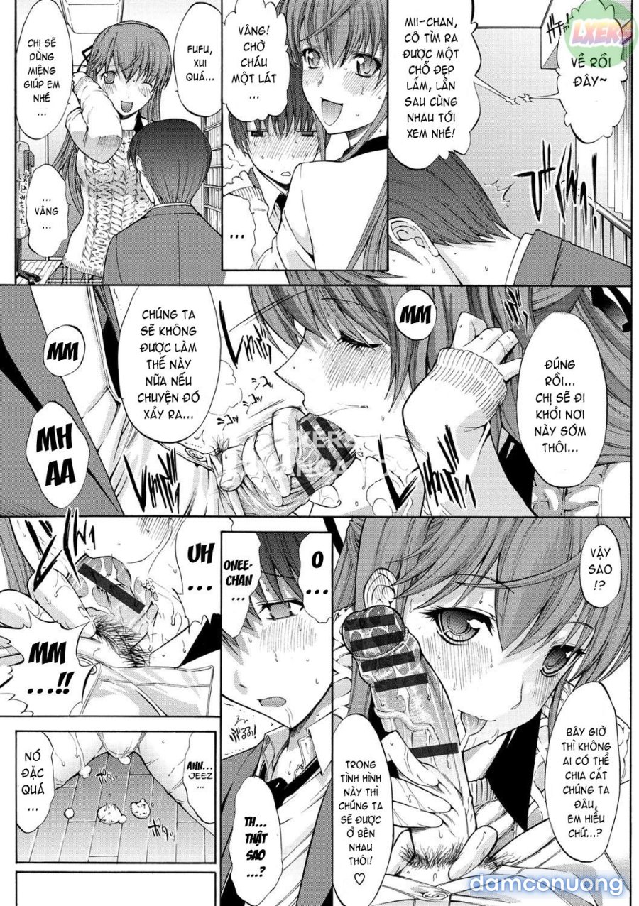 Hatsujou Souchi 