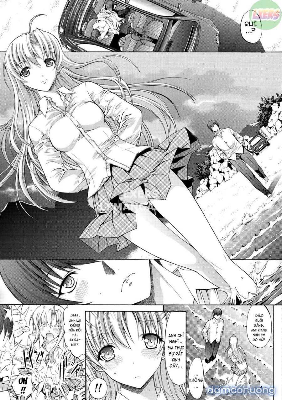 Hatsujou Souchi 