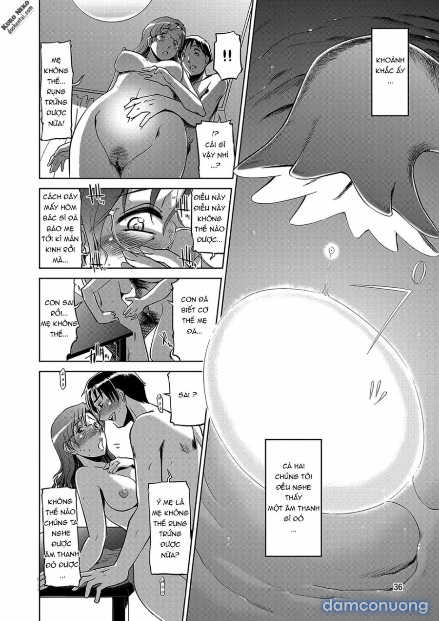 Koufuku na Kazoku 