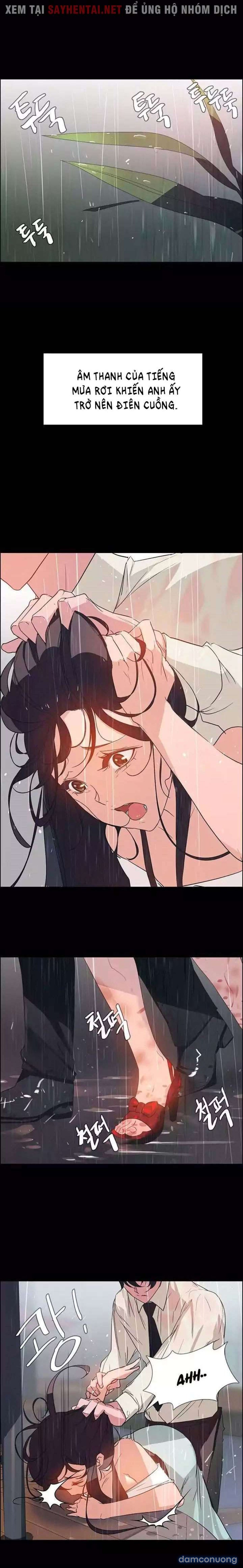 Màn Mưa 