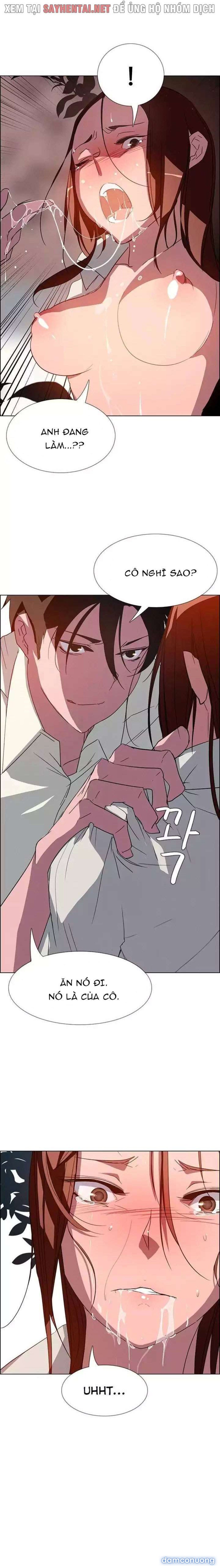 Màn Mưa 