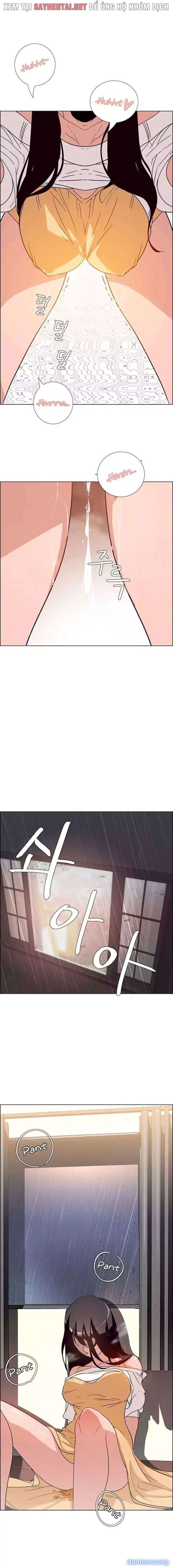 Màn Mưa 