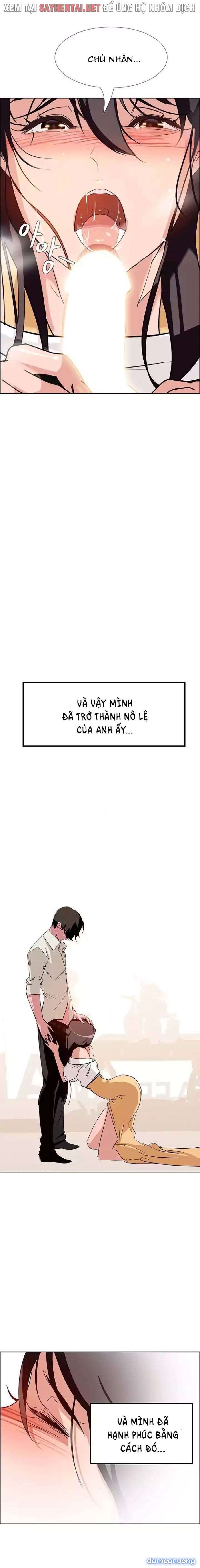 Màn Mưa 
