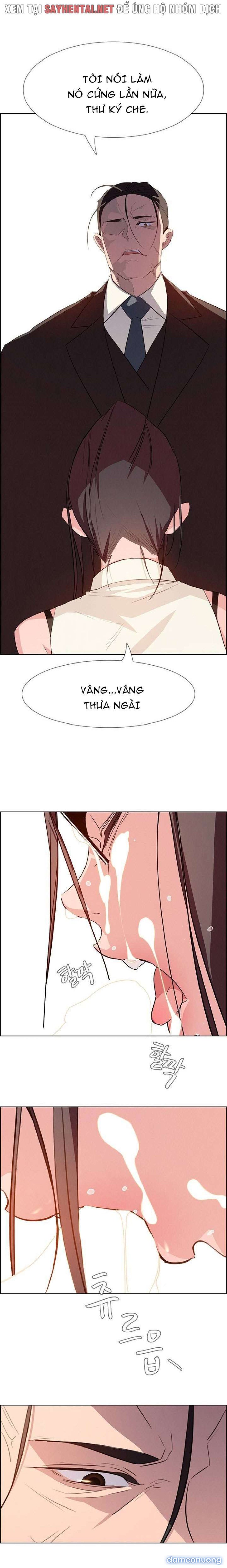 Màn Mưa 